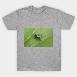 Fly T-Shirt